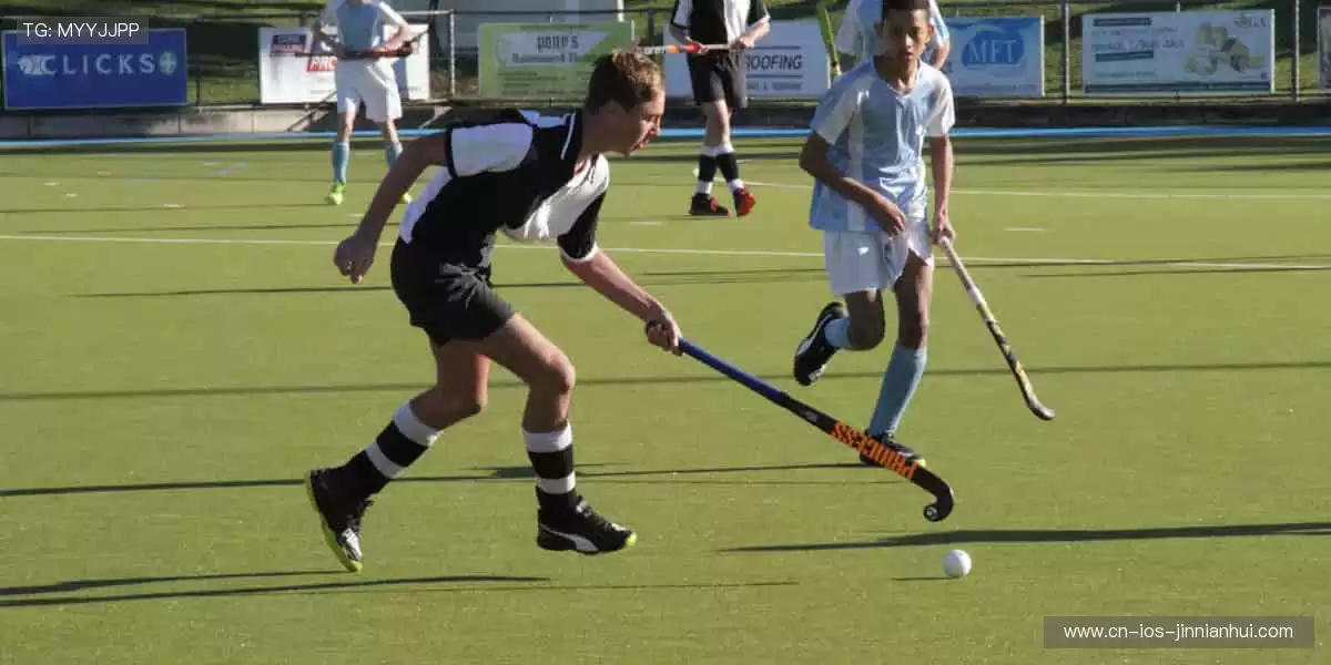 🎮 从装备到收藏,一站式满足你的体育情怀!